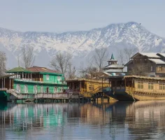 photo-1595815771614-ade9d652a65d