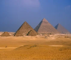 premium_photo-1661891622579-bee7